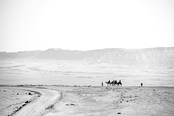 עדשה טלסקופית תעזור לכם להתמקד בנוף האינסופי של המדבר. שיירת גמלים על מצוק מכתש רמון. צלם:נמרוד סונדרס